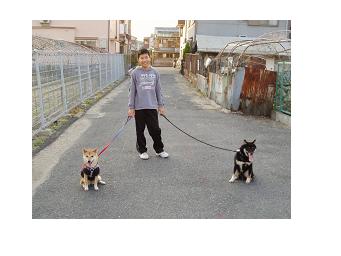 2006070100