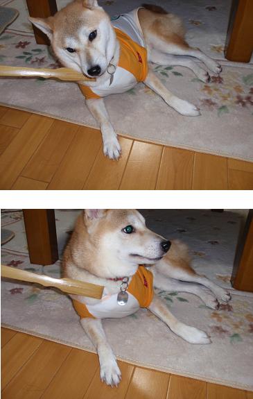 2008129699