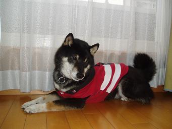 2008032300