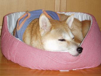 2007102000