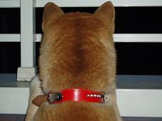 2006022300