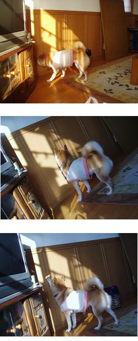 2007021900