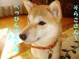 2005111500