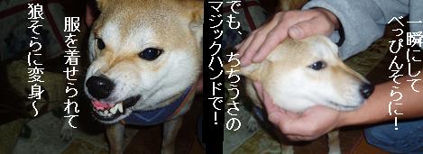 2005011700