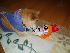 2006031102