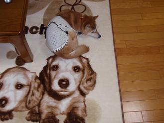 2009011800