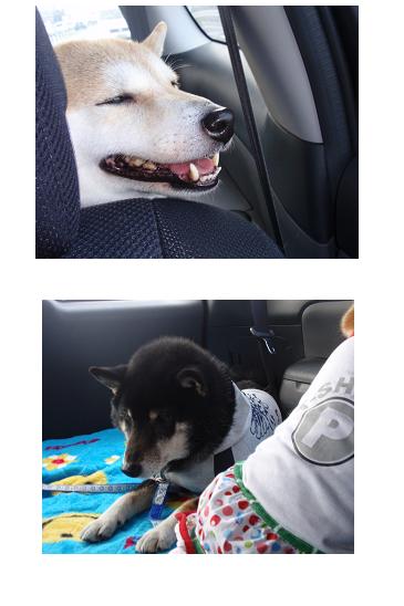 2009021100