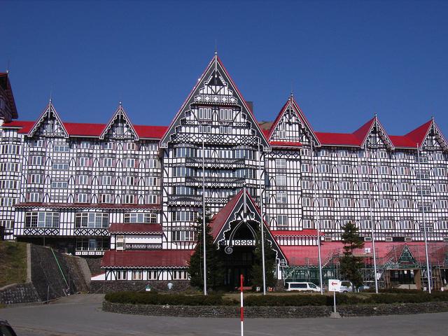 お城と白馬 お城と白馬