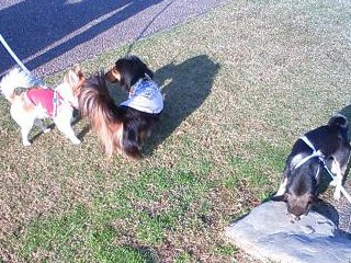 3/25 道後公園にて