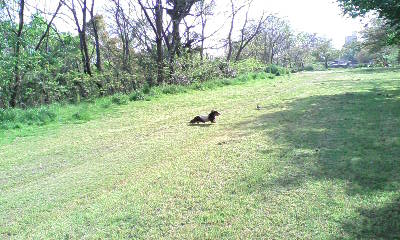 石手川公園　３