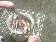 DSC01755.JPG