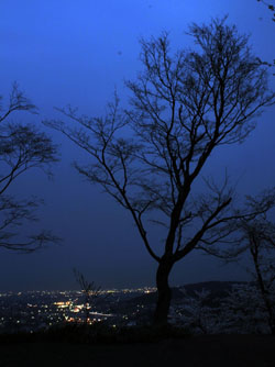 夜２
