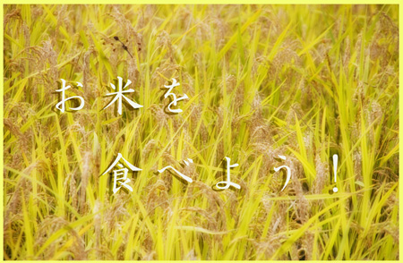 お米