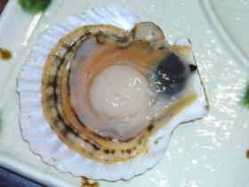 ホタテ２年貝