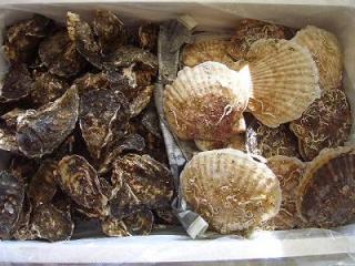 牡蠣５kg＆ホタテ５kg