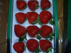 あまおうハマ奥用