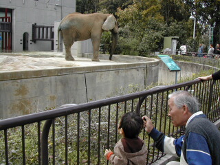 ぞうさん