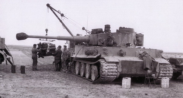 Tiger141FamoBilsteinDodgeWide.jpg