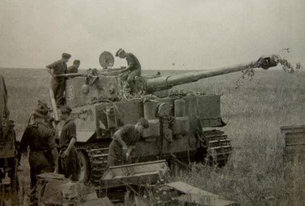 Tiger123_10.jpg