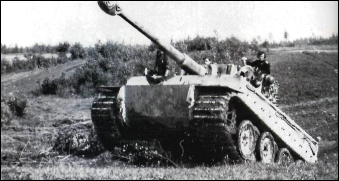 Tiger15.jpg