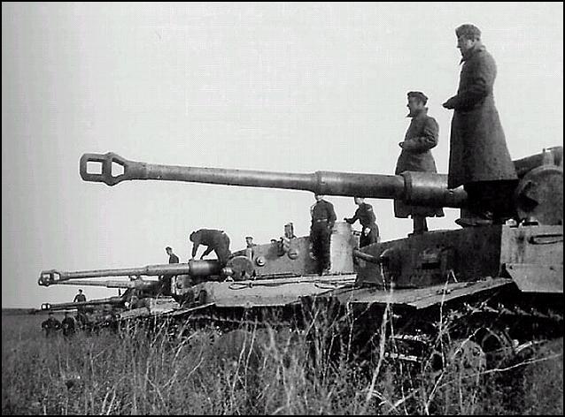 Tiger17.jpg