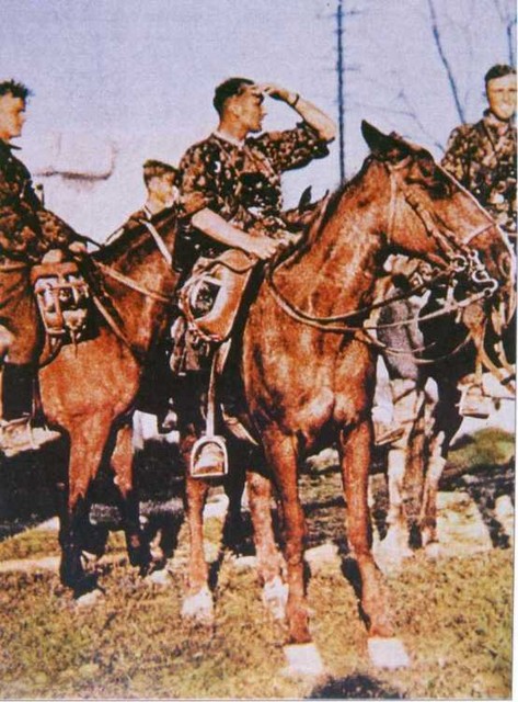 The_SS_Cavalry_Division_Florian