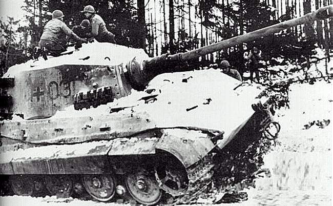 tiger1.jpg