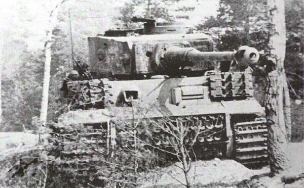 fehrmantiger1.jpg