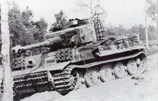 fehrmantiger2.jpg