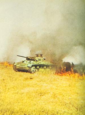 german_tank_in_burning_field.jp
