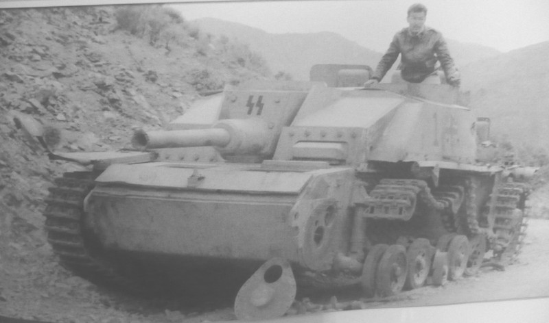 panzer0350.jpg