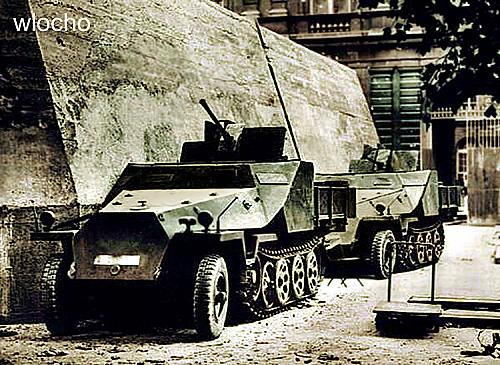 sdkfz251D-flak.jpg