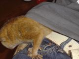 2005-08-21 15:13:29