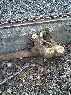 えにっき20061011-2