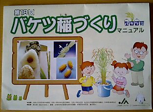 いねマニュアル