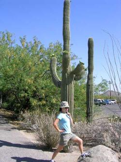 Saguaro.jpg