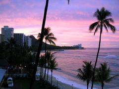 waikiki beach