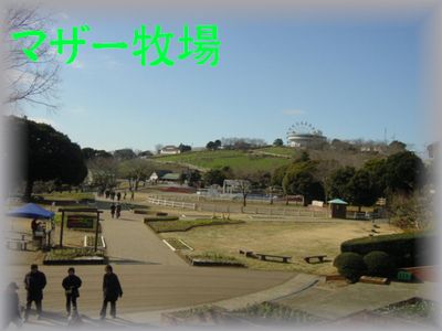 tateyama.jpg.4