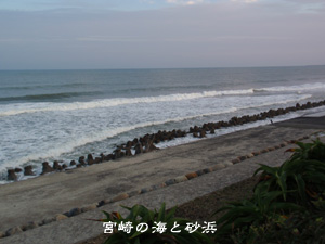 宮崎の海と砂浜