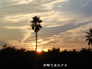 宮崎で見た夕日