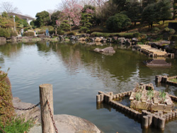 運動公園池1