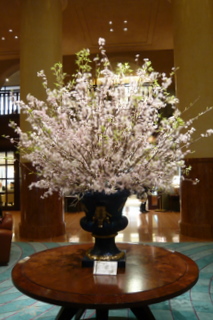 京都ホテルのロビーの桜