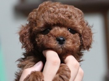 159_p1109300191 (1).jpg