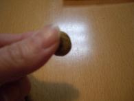 画像 776.jpg1.13低アレルギーフード２.jpg