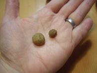 画像 777.jpg1.13低アレルギーフード３.jpg