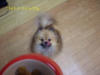 画像 778.jpg1.13.no1.jpg