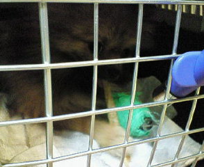 ストレス解消２