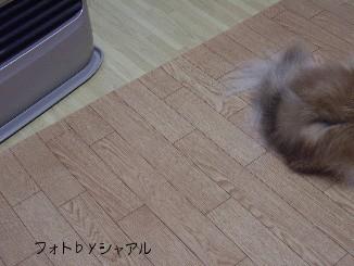 画像 791.jpg1.17no2.jpg