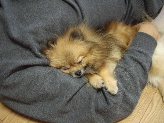 画像 760.jpg1.6 no.2.jpg