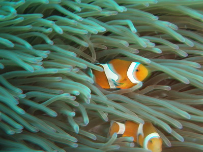 画像 007.jpg縮小.jpg